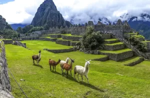 Parque arqueológico al amanecer recomendado para visitar Machu Picchu.