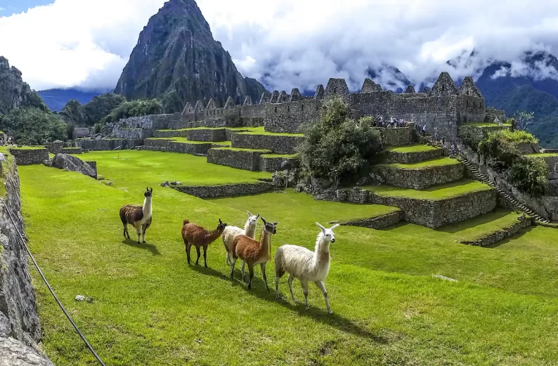 Parque arqueológico al amanecer recomendado para visitar Machu Picchu.