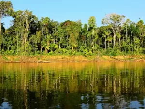 BOCA MANU-COCHA OTORONGO (ZONA RESERVADA)​
