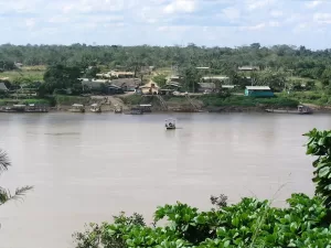 COCHA OTORONGO – BOCA MANU. ​