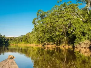 COCHA OTORONGO – COCHA SALVADOR (ZONA RESERVADA).​