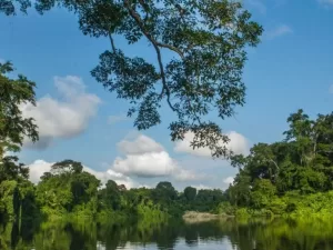 COCHA OTORONGO – PAKITZA (ZONA RESERVADA).​