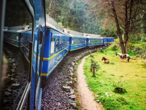 TREN