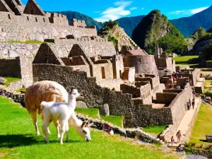 MACHUPICCHU